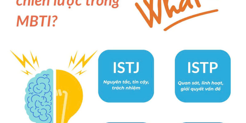 💥[MBTI Series_01] Thinking Types – Giải quyết vấn đề bằng lý trí và hệ thống