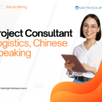Project Consultant (Logistics, Chinese Speaking)