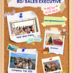 Business Development Executive
